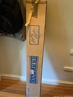 Long cardboard box labeled 'Da-Lite Projection' with vintage styling, standing vertically against a wall, including a transport strap attached to the box.
