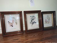 Frontal view of the three dark wood framed floral and bird prints side by side on a flat surface