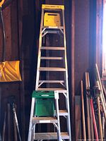 Full height view of both Werner step ladders, showing metal steps and yellow and green tool trays on top.