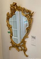 Full frontal view of mirror showing overall shape and frame design