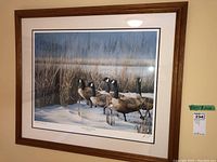 Photo showing the larger limited edition signed print with Canada geese in snow, framed in wood and double matted.