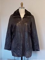 Front view of brown leather Danier jacket on dress form showing full length and front zipper closure.