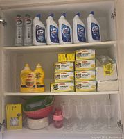 Shelf with Lysol Advanced toilet cleaner bottles and Vim cream cleanser tubes.