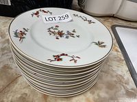 Stack of 12 white porcelain plates with multicolored floral designs on rim and gold trim.