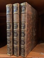 Spine view of all three leather-bound volumes with gilt lettering showing volume numbers I, II, III and decorative floral embossing.