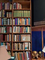 Full bookshelf view with varied hardcover and paperback books and two decorative gold masks