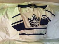 Front view of Toronto Maple Leafs white and blue youth hockey jersey with CCM logo on sleeve.