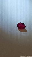 Photo of a deep red pear cut natural ruby gemstone on a white textured background, showing facets and teardrop shape.