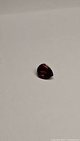 Close-up photo of deep cherry red pear-shaped cabochon pyrope garnet on a plain background.