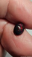 Close-up photo of oval cabochon untreated black fire opal showing intense red fire flashes and black body color, held between fingers for scale.