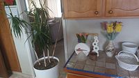 Full view of palm plant in white pot with stand next to countertop holding various decorative items including signed vase, candle, and wood flowers.