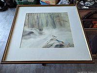 Full view of framed watercolour painting showing bird on a rock with a blurred tree background.