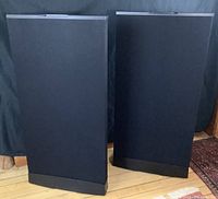 Front view of both speakers side by side on wood floor with black cloth grilles and silver top trim.