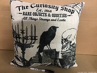 Front view of decorative pillow showing macabre design with crow, skull, candelabra, books, and spider web with gothic text.