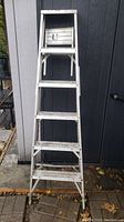 Front view of the 6ft metal ladder showing all six steps and the folded standing position against a wall.