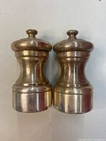 Front view of the pair of silver-toned salt and pepper shakers with rounded shapes and knob tops.