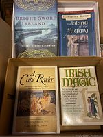 Four books about Celtic and Irish mythology and stories stacked in two rows inside a cardboard box.