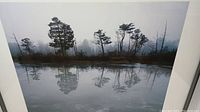Photograph depicting a tranquil wetland scene with trees reflected on water under misty conditions.