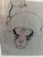 Close-up showing detailed pencil drawing of a monkey head with textured fur and slightly pink shaded face.