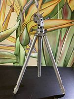Full view of the metal tripod showing the three legs and tilt head on a dark surface with a colorful jungle-themed background.