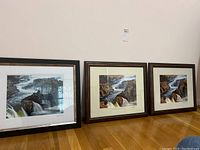 Three framed photographs of Great Falls placed side by side against a wall, showing the frames, mats, and signed photographs in each frame.