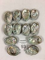 Top view of 12 abalone shells showing their shiny inner nacre surfaces with multiple holes visible on most shells.