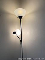 Photo showing a black metal floor lamp with two frosted white plastic globe shades, one at the top and a smaller one below on a flexible arm, illuminated to show light diffusion.