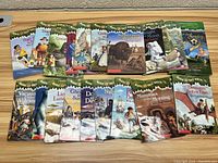 Twenty Magic Tree House books spread out on a wooden surface showing cover artwork and titles.
