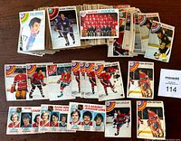 Wide shot of the collection of 114 1978-79 O.P.C. hockey cards laid out on a table showing various player and team cards including cards featuring Phil Esposito, Brad Park, and Jacques Lemaire.