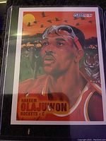 Close up of a Hakeem Olajuwon 1993-94 Fleer card showing an illustrated art design with a sunset and wildlife background.
