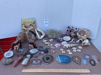 Overview of all lot items including shells, minerals, coral, and booklet.
