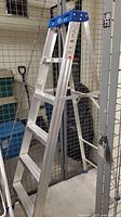 Full view of the aluminum 6ft step ladder with blue top and four steps placed upright.