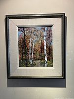 Full-view of framed oil painting showing birch tree landscape in autumn colors