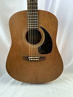 Close-up front view showing cedar top, rosette, pickguard and bridge with strings
