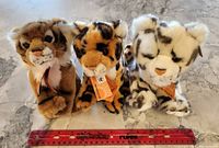 Three WWF stuffed tiger cub plush toys displayed on a marble surface next to a ruler showing roughly 6-7inch size range. Brown, orange, and white tiger cubs have tags attached.