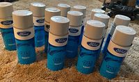 Thirteen vintage Ford spray paint cans arranged showing labels and white caps on a carpeted floor.