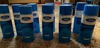 All 10 vintage Ford acrylic enamel spray paint cans arranged upright, showing front vintage Ford label and blue cap.