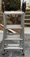 Front view of the professional industrial ladder showing multiple aluminum rungs and sturdy frame.