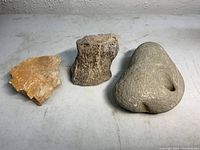 Front view of the three items including the fossilized dinosaur rib remnant, bone joint, and worm hole stone arranged side by side on a flat surface.