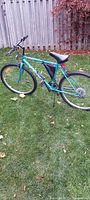 Side view of CCM adult bicycle on grass showing teal frame, handlebars, wheels and padded seat.