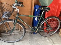 Side view of green Peugeot Evasion adult bike showing frame, wheels and basket