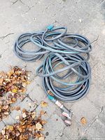 Coiled black garden hose with green stripe and metal fittings, placed on pavement with fallen leaves nearby.