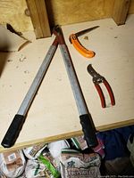 Long-handled pruner, folding saw with orange handle, small hand pruner on wooden surface