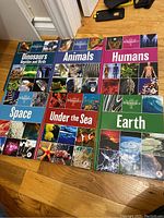 Six hardcover Encyclopedia Britannica books laid out on wood floor, titles visible: Dinosaurs Reptiles and Birds, Animals, Humans, Space, Under the Sea, Earth.