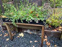Wooden planter box filled with green leafy plants and purple flower clusters placed on a gravel surface outdoors