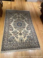 Full view of the area rug on a wooden floor showing central medallion and overall pattern