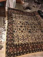 Rug laid out showing full field and border in basement setting