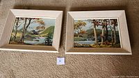 Two landscape paintings side by side on carpet, showing river scenes with trees and rock formations in wooden frames.