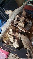 Box containing multiple natural drift wood pieces suitable for decoration.