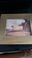 Framed print of a sheep in a natural setting with trees, showing the full artwork and frame.
